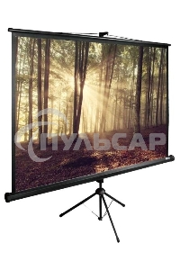 Экран Cactus 135x180см TriExpert CS-PSTE-180х135-BK 4:3 напольный рулонный