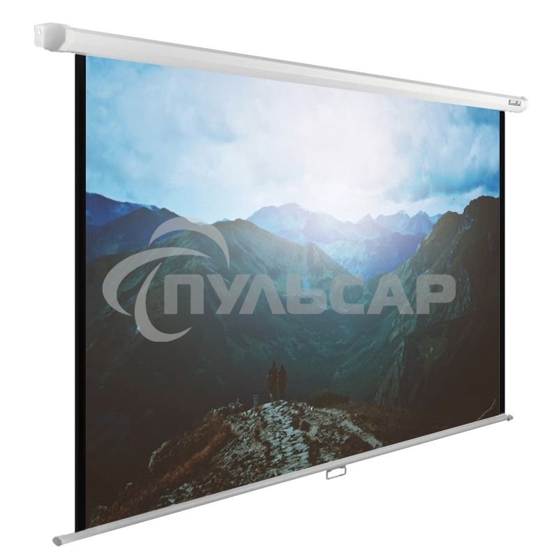 Экран Cactus 240x240см WallExpert CS-PSWE-240x240-WT 1:1 настенно-потолочный рулонный