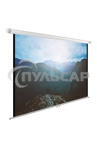 Экран Cactus 240x240см WallExpert CS-PSWE-240x240-WT 1:1 настенно-потолочный рулонный