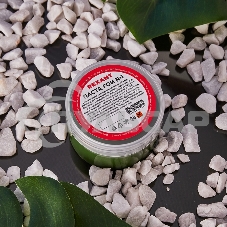 Паста ГОИ полировальная Rexant № 1, баночка 100 г