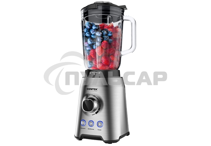Блендер Centek CT-1329