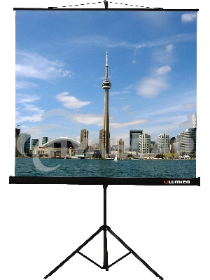 Экран на штативе Lumien Eco View 220x220см (раб.область 214х214 см) Matte White с возможностью настенного крепления 1:1