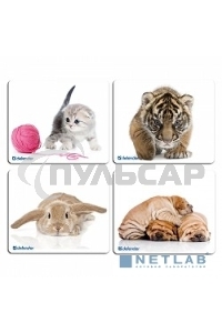 Коврик Defender шелковый ассортимент, 230х190х1.6