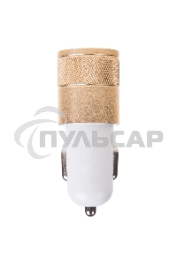 Автозарядка в прикуриватель Rexant 2хUSB (АЗУ) (1000+2100 mA)