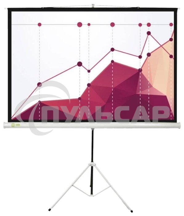 Экран Cactus 180x180см Triscreen CS-PST-180x180 1:1 напольный рулонный белый