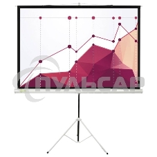 Экран Cactus 180x180см Triscreen CS-PST-180x180 1:1 напольный рулонный белый