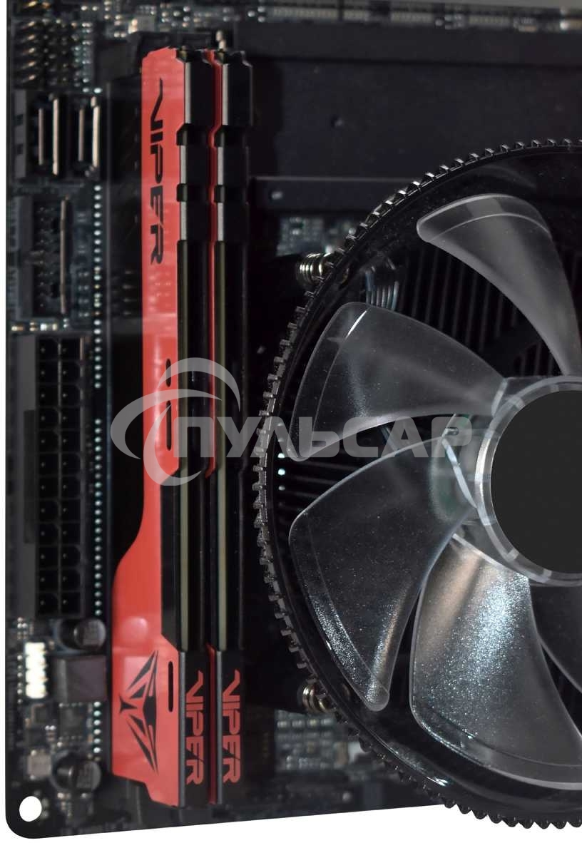 Оперативная память Patriot Viper Elite II, DDR4, 16Gb (2x8 Gb), 3200 MHz, CL18, DIMM, радиатор, красный, черный