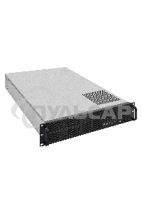 Серверная платформа ExeGate Pro EX293876RUS 2U650-06/2U2098L (RM 19