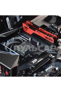 Оперативная память Patriot Viper Elite II, DDR4, 16Gb (2x8 Gb), 3200 MHz, CL18, DIMM, радиатор, красный, черный