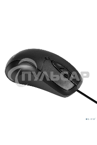 Мышь проводная ExeGate Professional Standard B100L черный, 1000 dpi, USB, кнопки - 3