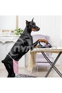 Утюг Galaxy Line GL 6128, фиолетовый с черным, паровой, 2200 Вт, постоянный пар 30 г/мин, паровой удар 140 г/мин, функции: самоочистка, антикапля, антинакипь, функция увлажнения, вертикальное отпаривание, защита от перегрева, индикатор нагрева, керамическ