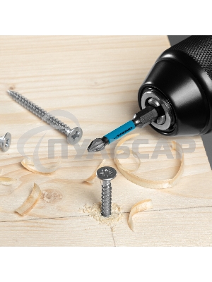 Набор бит торсионных PH2x50 мм, для ударных шуруповертов, 10 шт. Gross