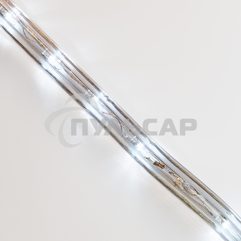Дюралайт Neon-night LED, свечение с динамикой (3W) - белый, 36 LED/м, бухта 100м