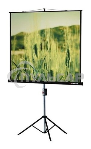 Экран на треноге Lumien 220x165см Master View LMV-100113 4:3 напольный рулонный