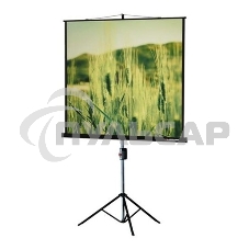 Экран на треноге Lumien 220x165см Master View LMV-100113 4:3 напольный рулонный