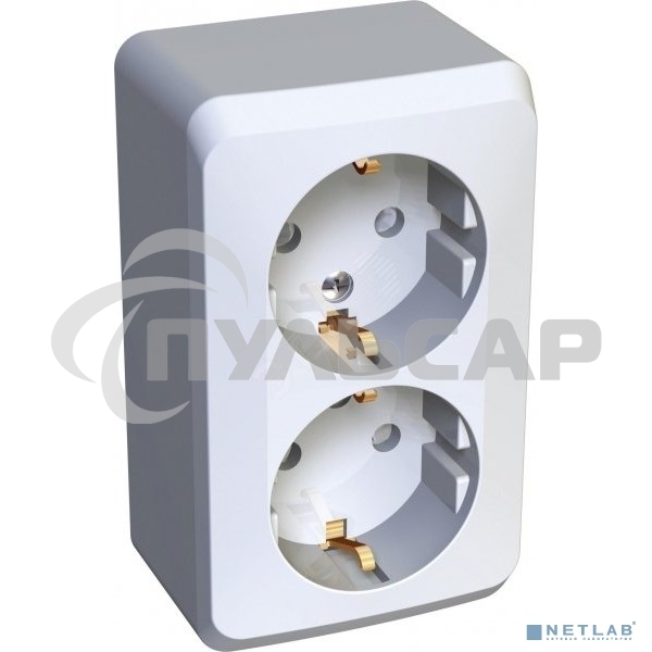 Розетка 2-м ОП Этюд 16А защ. шторки с заземл. белый  SchE PA16-008B