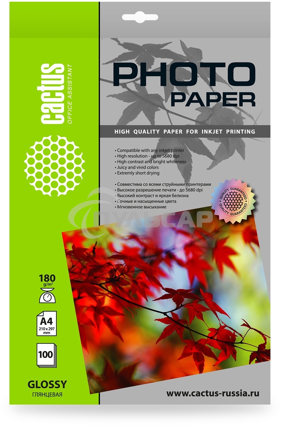 Фотобумага Cactus CS-GA4180100 A4/180г/м2/100л./белый глянцевое для струйной печати