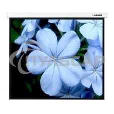 Экран Lumien 280x280см Master Control LMC-100126 1:1 настенно-потолочный рулонный белый (моторизованный привод)