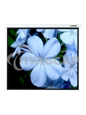 Экран Lumien 280x280см Master Control LMC-100126 1:1 настенно-потолочный рулонный белый (моторизованный привод)