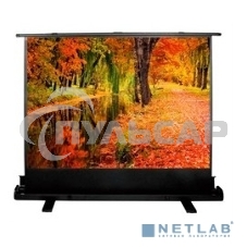 Экран Cactus 150x200см FloorExpert CS-PSFLE-200X150 4:3 напольный рулонный