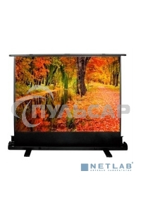 Экран Cactus 150x200см FloorExpert CS-PSFLE-200X150 4:3 напольный рулонный