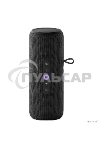 Умная колонка Yandex Стрит Алиса черный 30W 2.0 BT/Wi-Fi 10м 3300mAh (YNDX-00030BLK)