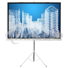 Экран Cactus 104.4x186см Triscreen CS-PST-104x186 1:1 напольный рулонный белый
