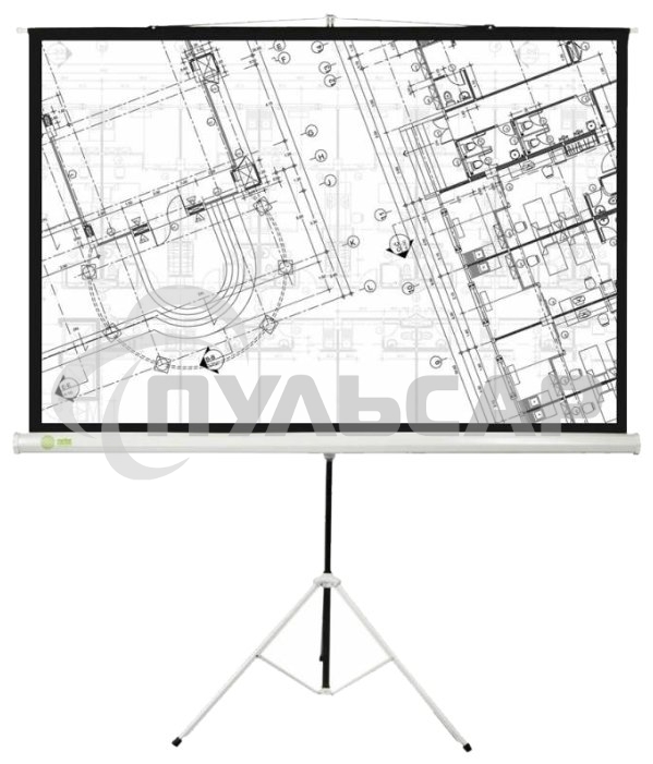 Экран Cactus 127x127см Triscreen CS-PST-127X127 1:1 напольный рулонный белый