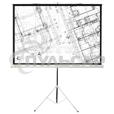 Экран Cactus 127x127см Triscreen CS-PST-127X127 1:1 напольный рулонный белый