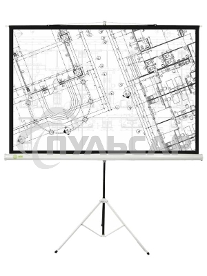 Экран Cactus 127x127см Triscreen CS-PST-127X127 1:1 напольный рулонный белый
