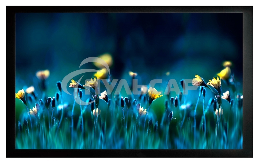 Экран на раме Cactus 113x200см FrameExpert CS-PSFRE-200X113 16:9 настенный натяжной