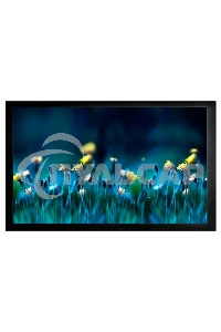 Экран на раме Cactus 113x200см FrameExpert CS-PSFRE-200X113 16:9 настенный натяжной
