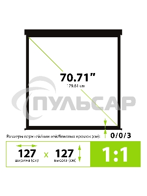 Экран Cactus 127x127см Wallscreen CS-PSW-127X127-BK 1:1 настенно-потолочный рулонный черный