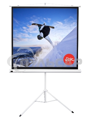 Экран 127x127см TriScreen 1:1 напольный рулонный белый71'
