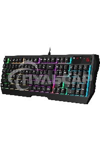 Клавиатура проводная A4Tech Bloody B135N USB черный