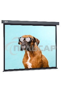 Экран Cactus 149.4x265.7см Wallscreen CS-PSW-149X265-SG 16:9 настенно-потолочный рулонный серый