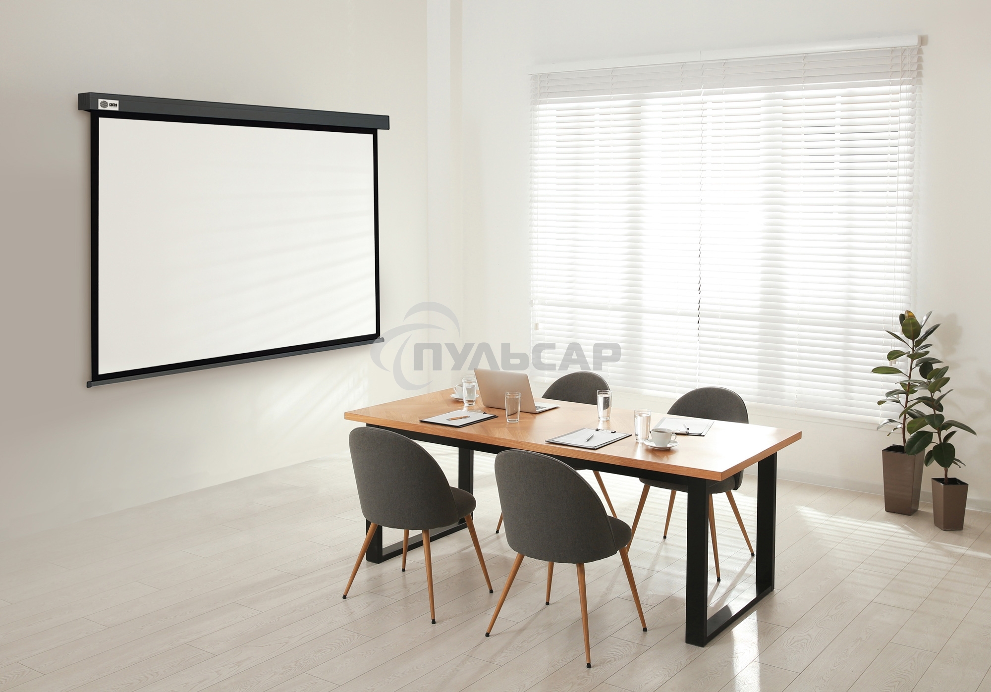 Экран Cactus 150x150см Wallscreen CS-PSW-150X150-SG 1:1 настенно-потолочный рулонный серый