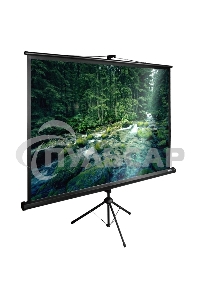 Экран Cactus 165x220см TriExpert CS-PSTE-220х165-BK 4:3 напольный рулонный
