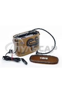 Автомобильный компрессор Berkut SPEC-2M 40л/мин шланг 0.6м