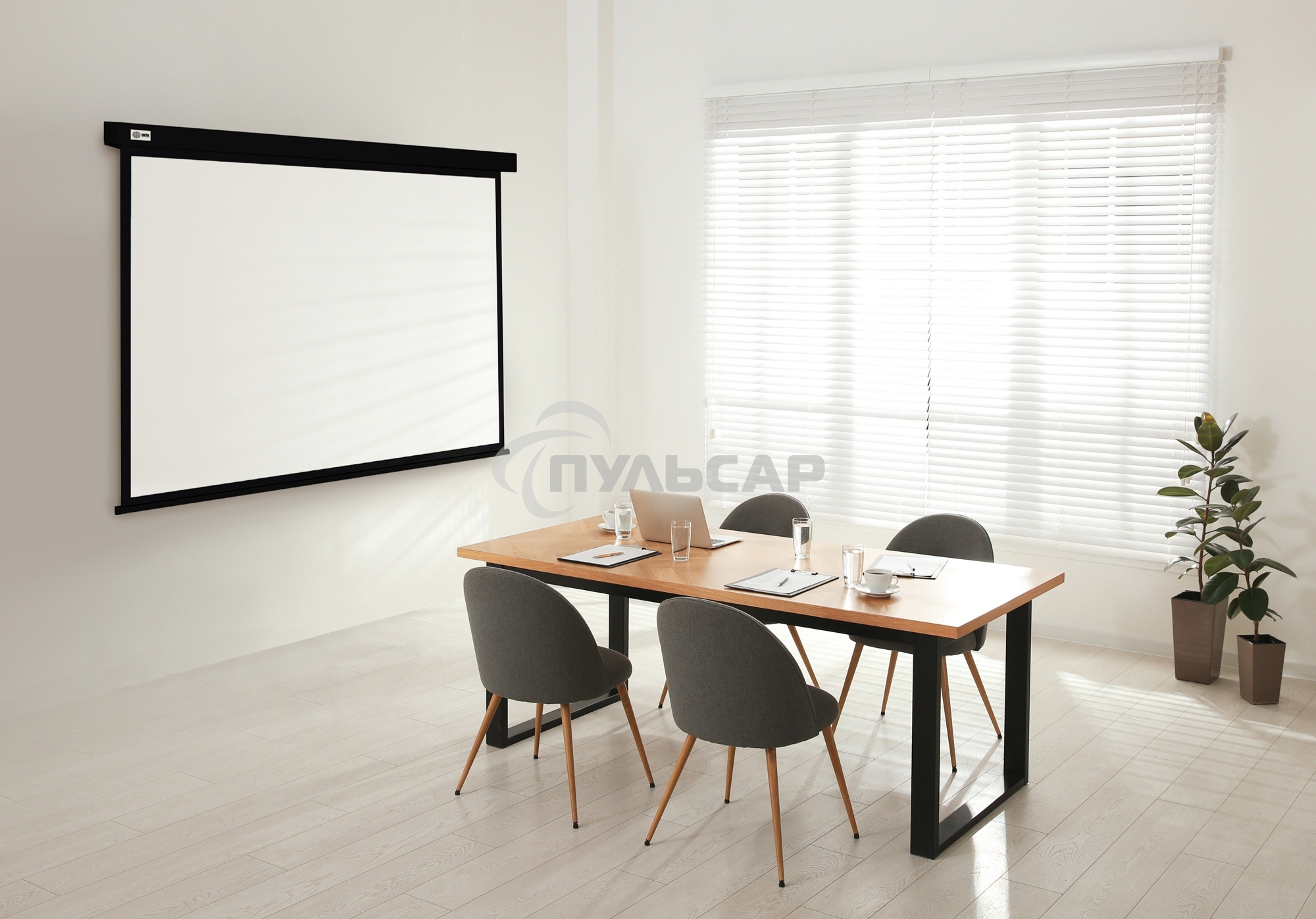 Экран Cactus 213x213см Wallscreen CS-PSW-213X213-BK 1:1 настенно-потолочный рулонный черный