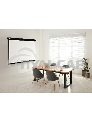 Экран Cactus 213x213см Wallscreen CS-PSW-213X213-BK 1:1 настенно-потолочный рулонный черный