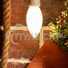 Лампа светодиодная филаментная Rexant Свеча CN35 9.5 Вт 915 Лм 4000K E14 матовая колба