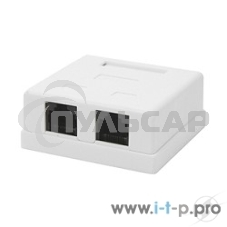 Розетка GEMBIRD NA214 RJ-45 кат.5e внешняя 2 порта, 110&Krone