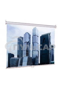 Экран Lumien 200x200см Eco Picture LEP-100103 1:1 настенно-потолочный рулонный