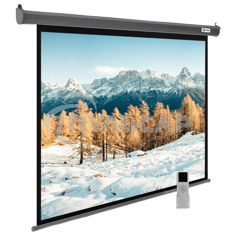 Экран Cactus 188x300см SIlverMotoExpert CS-PSSME-300X188-DG 16:10 настенно-потолочный рулонный темно-серый (моторизованный привод)