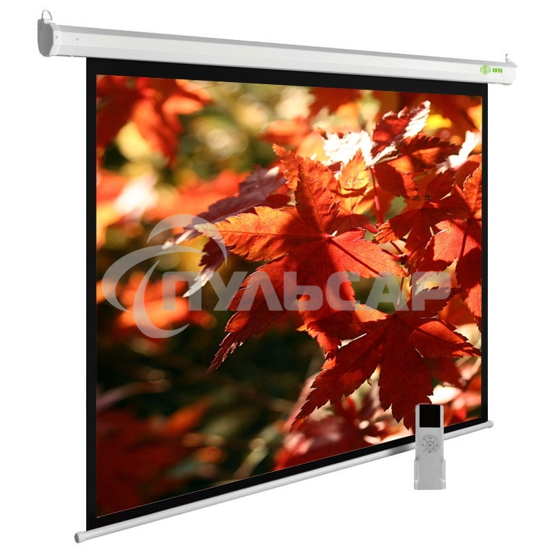 Экран Cactus 150x200см SIlverMotoExpert CS-PSSME-200X150-WT 4:3 настенно-потолочный рулонный белый (моторизованный привод)
