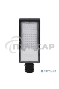 Светильник светодиодный консольный Rexant ДКУ 02-100-5000К-Ш асимметричный IP65 черный