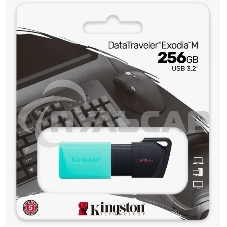 Флешка USB Kingston 256 Gb DataTraveler DTXM DTXM/256 Gb USB 3.2 черный/зеленый