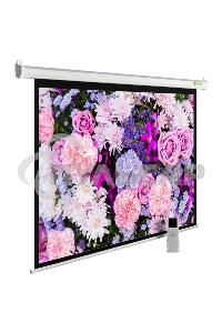 Экран Cactus 150x240см SIlverMotoExpert CS-PSSME-240X150-WT 16:10 настенно-потолочный рулонный белый (моторизованный привод)