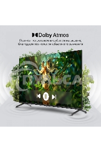 Телевизор Digma 55